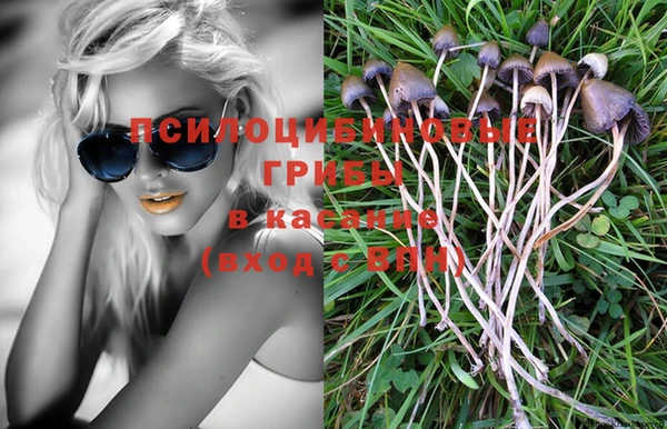 сатива Аркадак